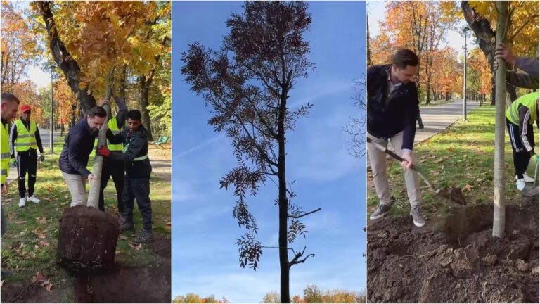 Peste 1.000 de copaci se plantează în Parcul Herăstrău. Bujduveanu a pus mâna pe lopată și a pus în pământ primul stejar, urmează frasini și pini