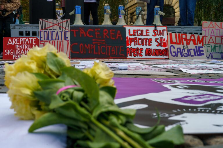 Proiectul de lege pentru incriminarea femicidului va fi depus în Parlament săptămâna viitoare. 48 de femei au fost ucise în România în acest an, șase dintre ele în București și Ilfov