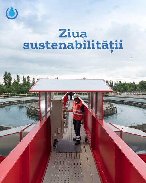 Sustenabilitatea în Acțiune: Transformarea Bucureștiului prin Inițiative Verzi