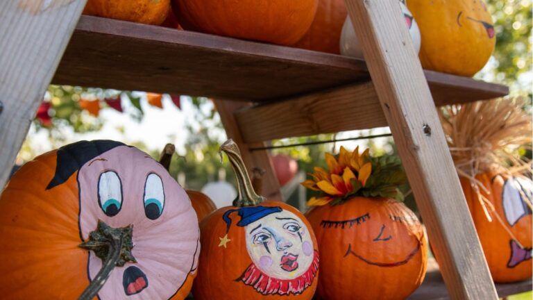 Târgul Dovleacului, la Antipa, în weekend 🎃 Pumpkin Fair e cu sculptat dovleci, cu plăcinte cu dovleac și cu multe alte bunătăți
