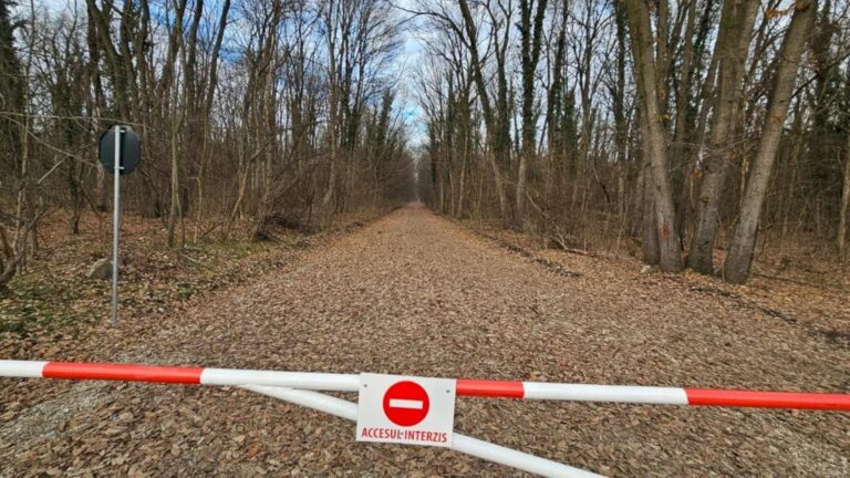 Trei noi căi de acces pentru Greenfield, orășelul izolat de la marginea Bucureștiului