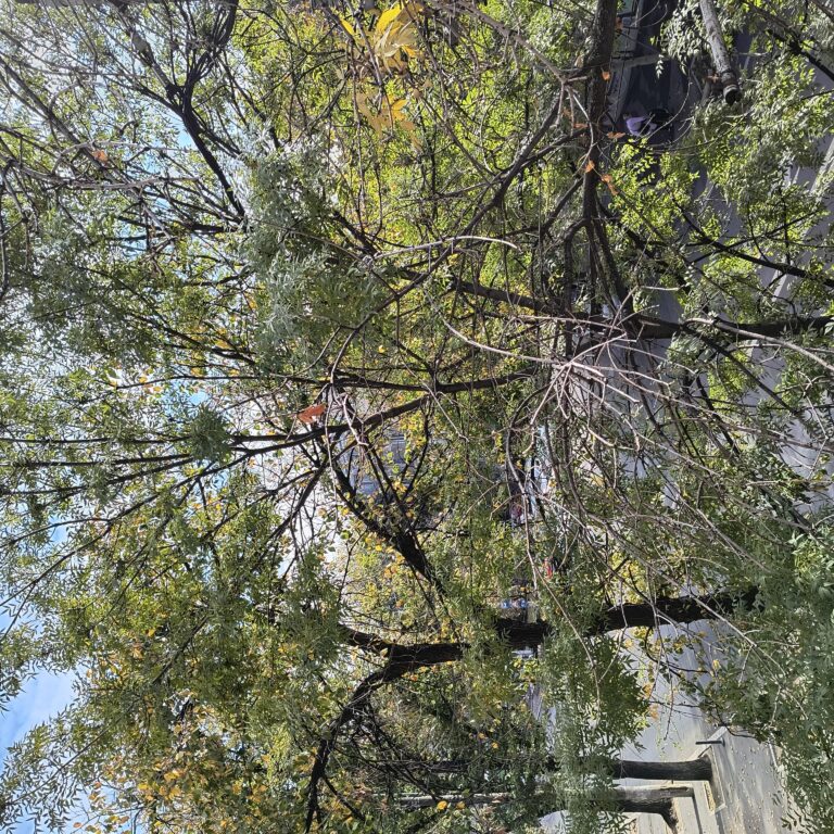 Vreme caldă, la sfârșit de octombrie, în Capitală