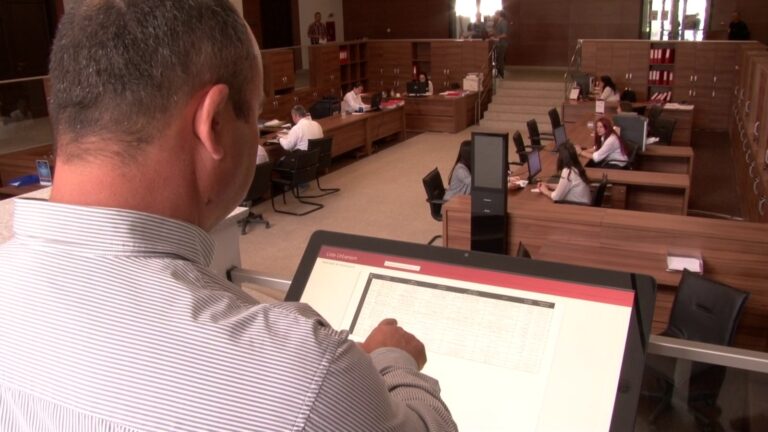 Administrația locală în era digitală: comparație între sectoare