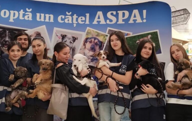 15 cățeluși își caută familii în acest weekend la Animax Vulcan