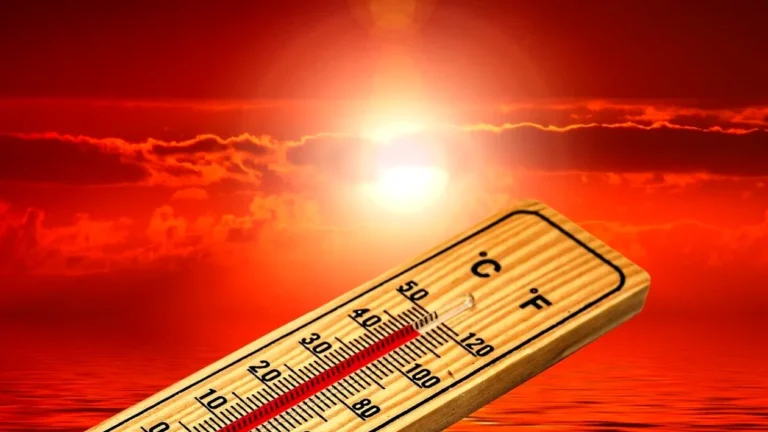 Strategii pentru adaptarea Bucureștiului la valurile de căldură și ploile intense