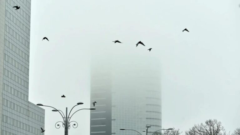 Avertizare METEO: Cod galben de ceață în Ilfov, vizibilitate redusă pe autostrăzi