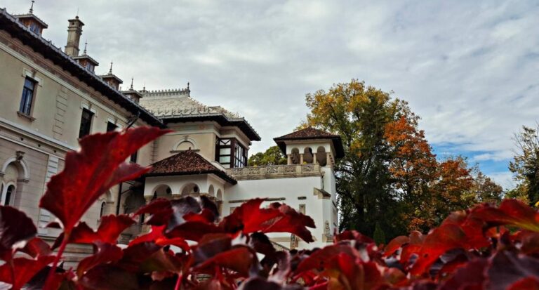 Muzeul Național Cotroceni introduce un nou program de vizitare în weekend, începând cu 1 noiembrie 2025