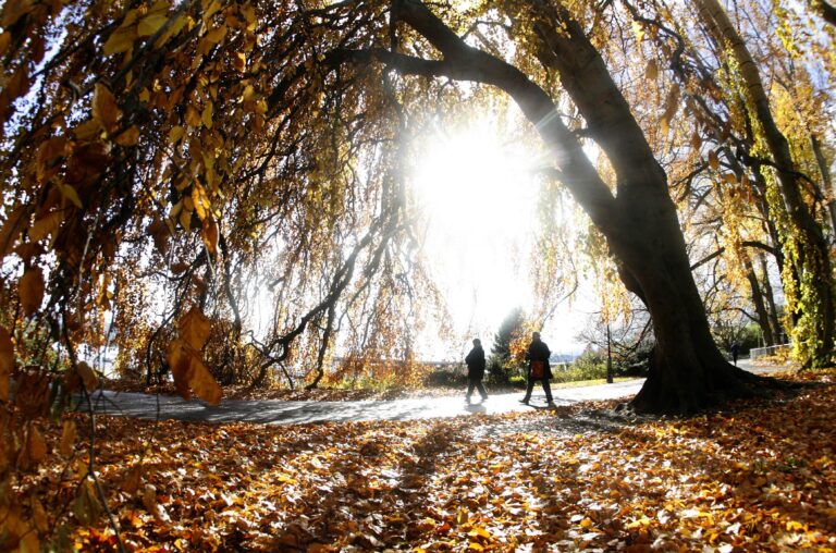 Noiembrie începe cu temperaturi neobișnuite de cald