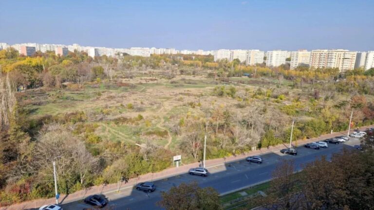 Protest împotriva defrișărilor ilegale în Sectorul 3, programat pentru weekend