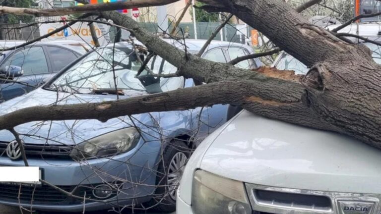 Scrisoarea unui bucureștean din Berceni către primarul Băluță: „Nu cer decât respect și responsabilitate!”