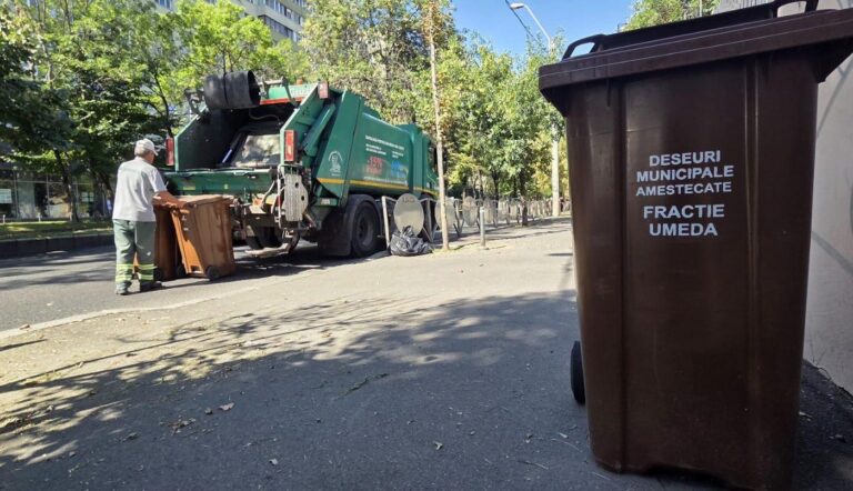 Sector 1 | Consiliul Local a amânat ședința extraordinară pentru adoptarea planului de deszăpezire