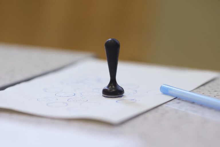 Sondaj Recent: Anca Alexandrescu pe Locul Trei, Cătălin Drulă pe Patru