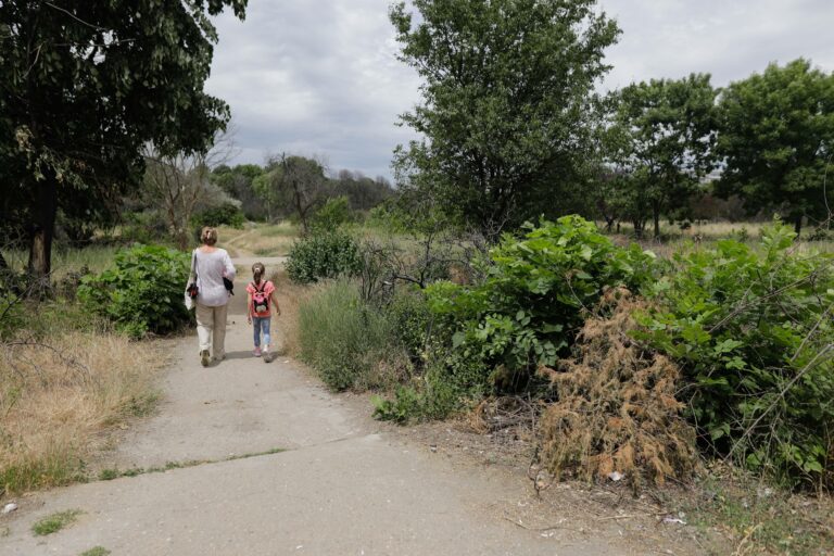 Tăierea ilegală de arbori din spaţiile verzi urbane se va pedepsi cu închisoarea