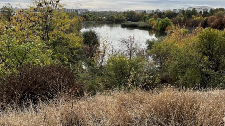 Voluntariat și picnic pe Pajiștea Petricani, în acest weekend