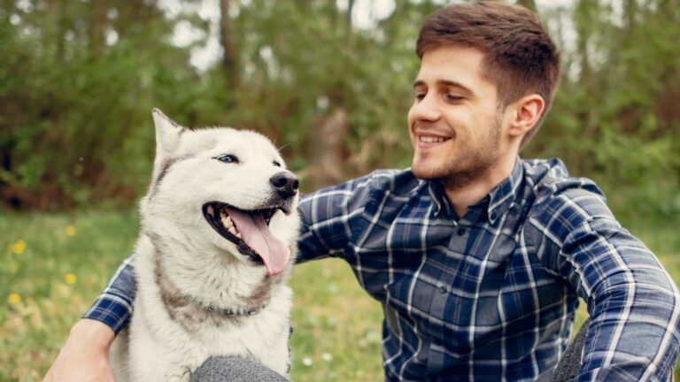 Zile libere pentru doliu pentru angajații de la Adăpostul Speranța în cazul decesului câinilor de companie