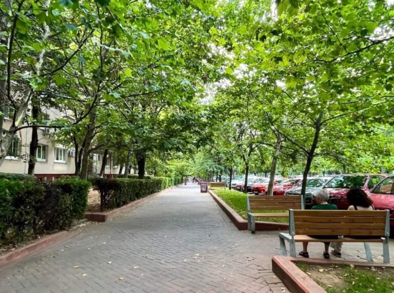 Primarul sectorului 3 cere pedepse penale pentru cei care „pun la pământ” spațiile verzi din oraș