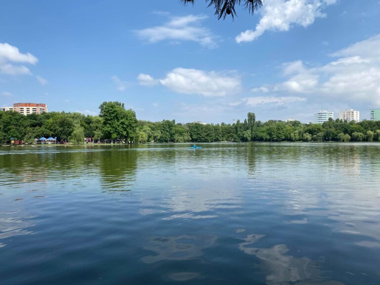 Sector 3 | Târg de sărbători neautorizat, oprit în zona retrocedată din Parcul IOR. Organizatorii – amendați cu 10.000 lei