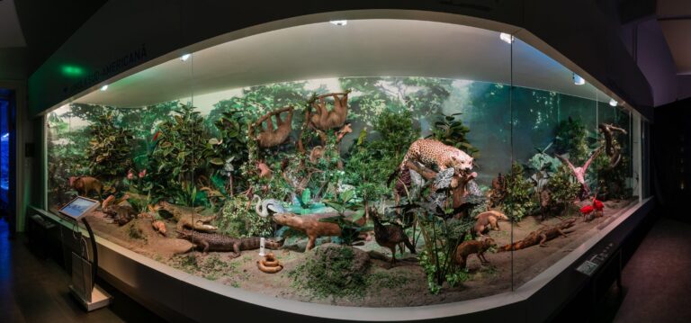 Ateliere de iarnă pentru copii la Muzeul Antipa