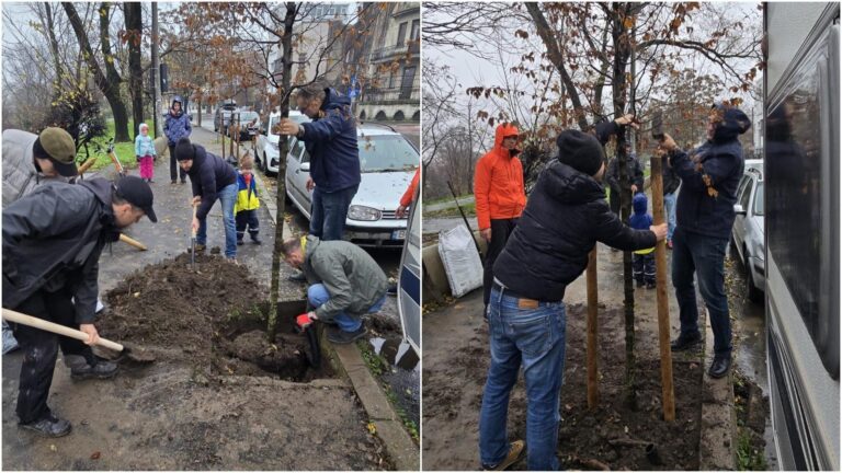 Bucureștenii din Cotroceni plantează un copac pentru reabilitarea Parcului Romniceanu
