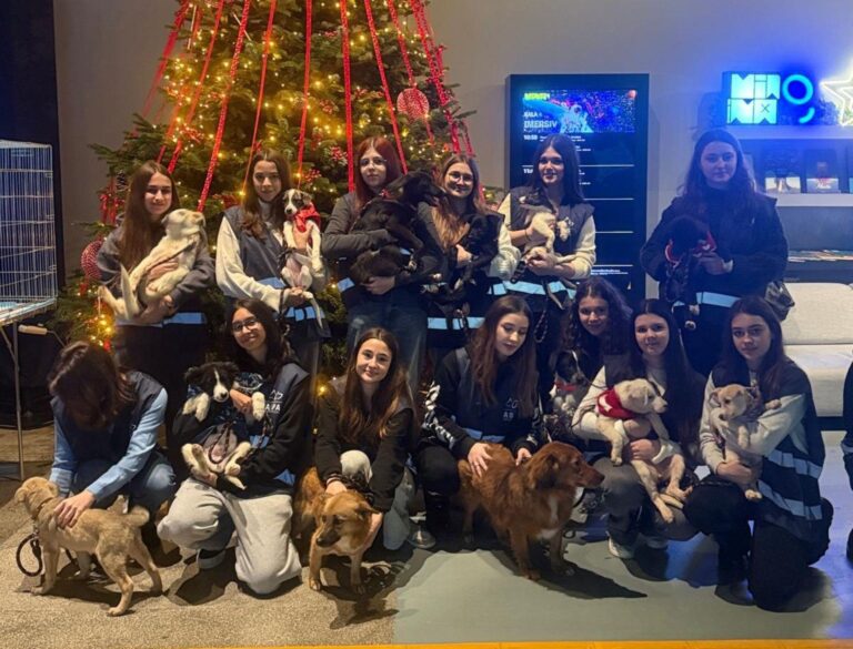 FOTO | 6 căței și 11 pisici au găsit căminuri la ultimul târg de adopții din acest an