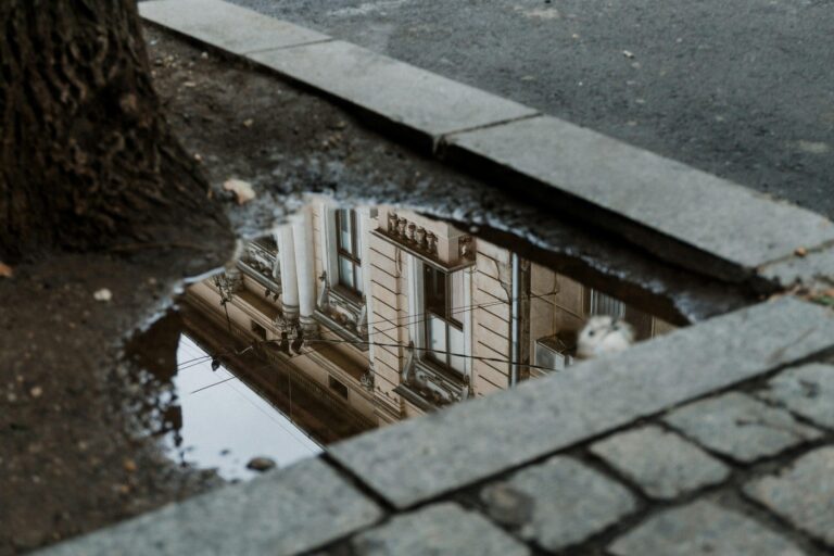 Frig, ploaie și ceață în prima săptămână din decembrie, în București. Cum va fi vremea în weekend, când sunt și alegerile parțiale pentru PMB