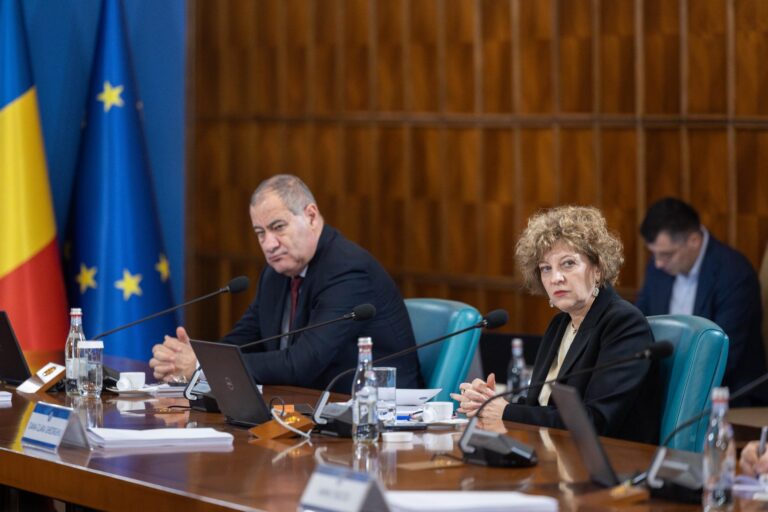 Guvernul a stabilit primele 17 companii care intră în procesul de reformă