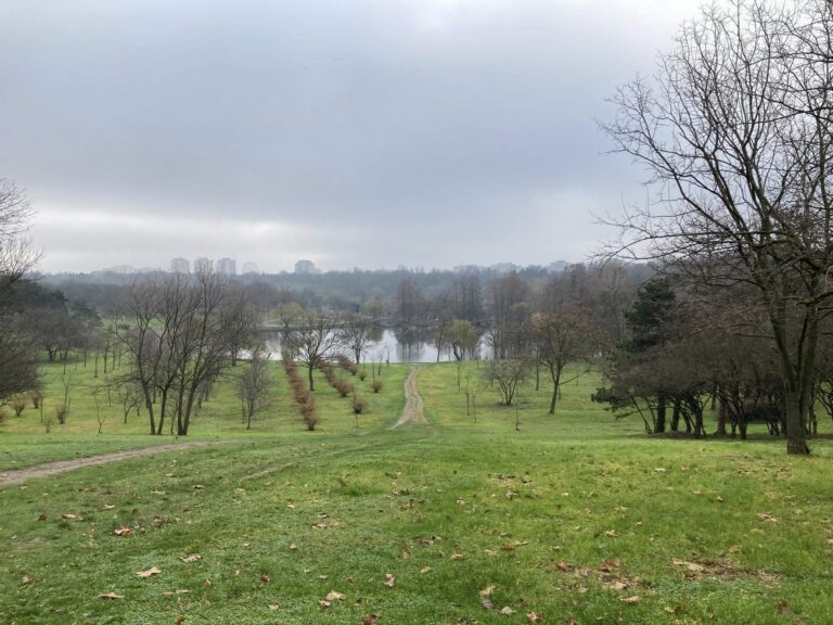 Parcul Natural București lansează Fondul pentru urgențe ecologice. Donațiile vor fi dublate până la finalul lunii februarie