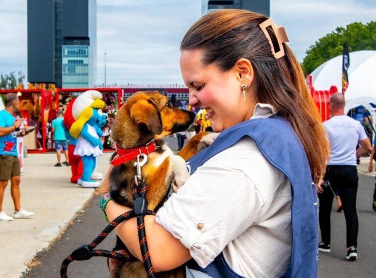 Retrospectiva anului 2025 la ASPA: 19 târguri organizate în București și Ilfov, peste 2.000 de căței adoptați