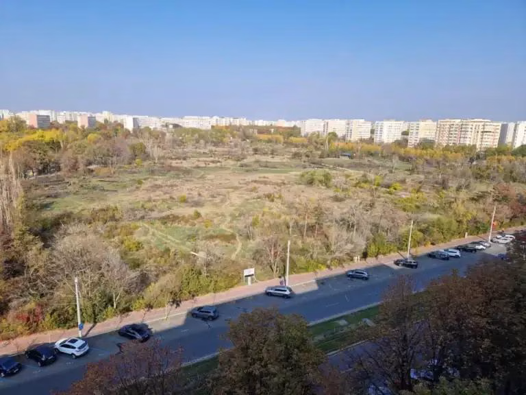 Strategiile celor care defrișează zona retrocedată din IOR pentru a evita amenda de 35 de milioane de euro