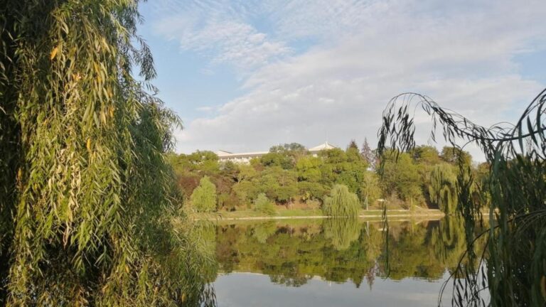 Tur ghidat în Parcul Tineretului în acest weekend. Bucureștenii vor discuta și căuta soluții pentru traiul păsărilor din parc în sezonul rece