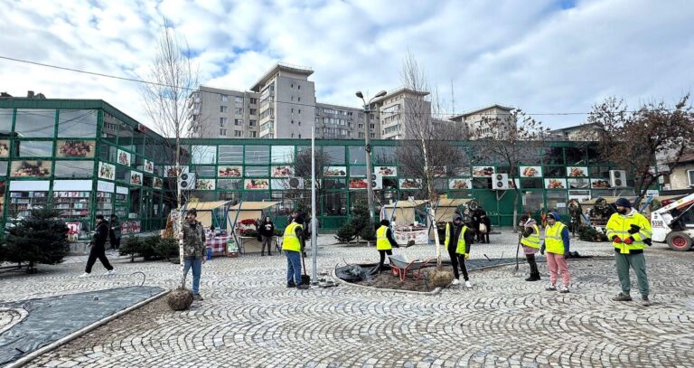 Zeci de mesteceni, arțari și arbori Catalpa vor fi plantați în Piața Matache, unde se fac amenajări temporare