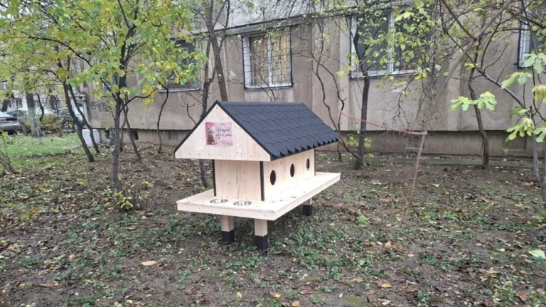 „Miaauuuu, mi-au dat căsuță!” Alte 8 adăposturi pentru pisici au fost montate în Sectorul 6. În total sunt 48