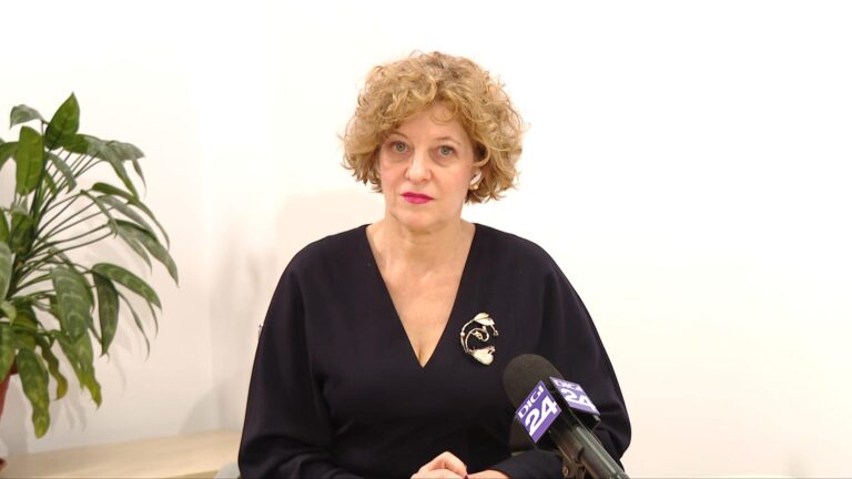 Companiile inactive din România, sub lupa autorităților: Oana Gheorghiu propune măsuri drastice