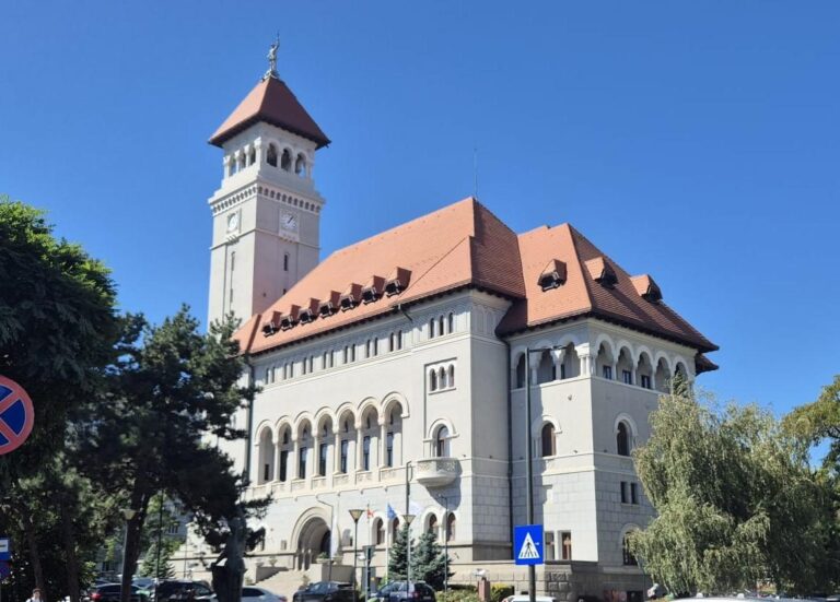 Controlul Guvernului asupra Consiliului Local al Sectorului 1 în privința conducerii societăților subordonate