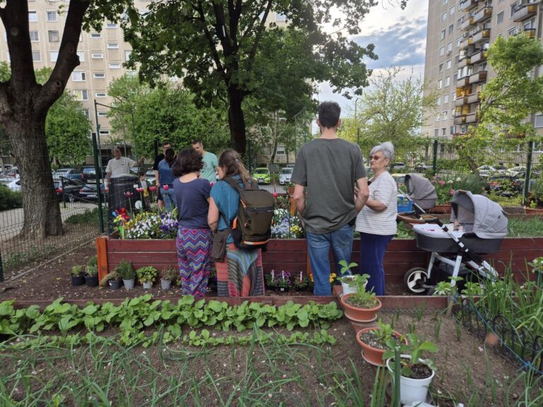 Grădinile comunitare, încă interzise în București. O rețea nou-înființată cere primăriilor să legalizeze legumicultura pe terenurile publice