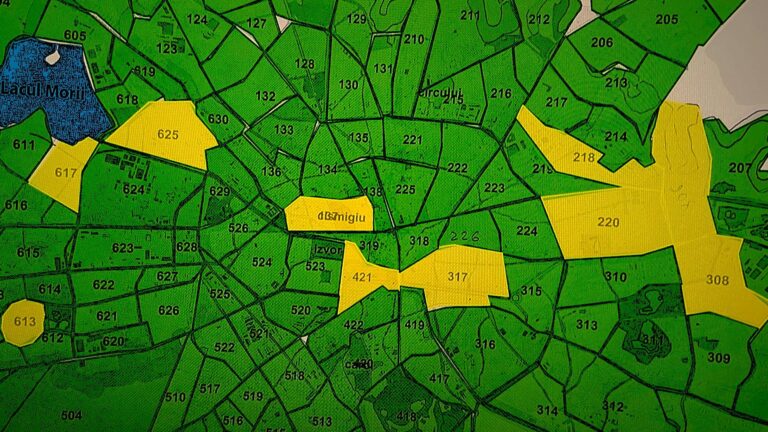 Harta dăunătorilor din Capitală: Șobolanii au invadat zone cheie ale Bucureștiului