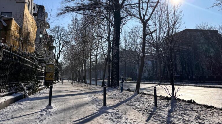 Imagine surprinzătoare în centrul Bucureștiului, într-o zi lucrătoare