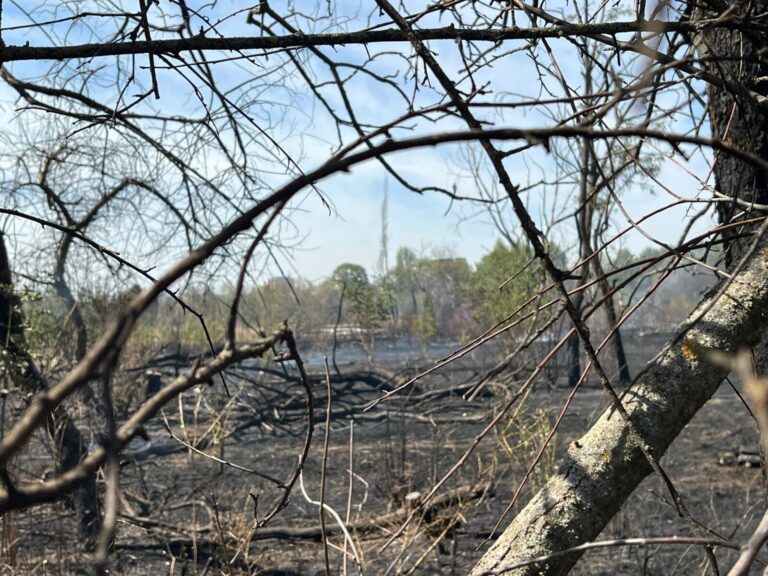 Dosarul IOR, în pericol de închidere: apărarea Mariei Cocoru mizează totul pe viciile de procedură și acuză judecătorul de lipsă de imparțialitate