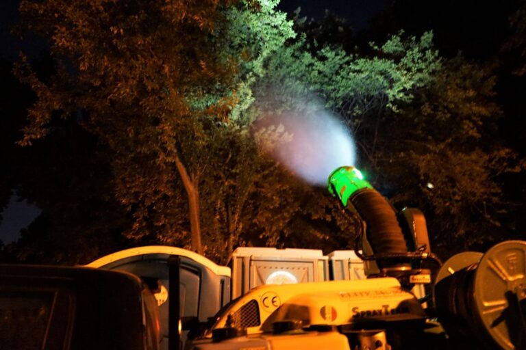 Investiții de peste 27 milioane de lei pentru combaterea dăunătorilor în București: 86 de tratamente planificate pentru 2026