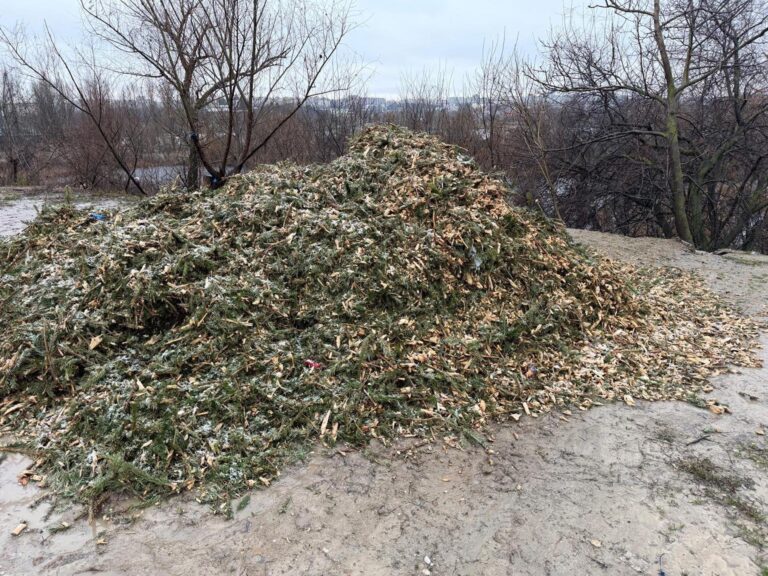 Mii de brazi naturali au fost colectați în sectoarele 2 și 6🌲Până când mai pot bucureștenii să recicleze copacii de Crăciun