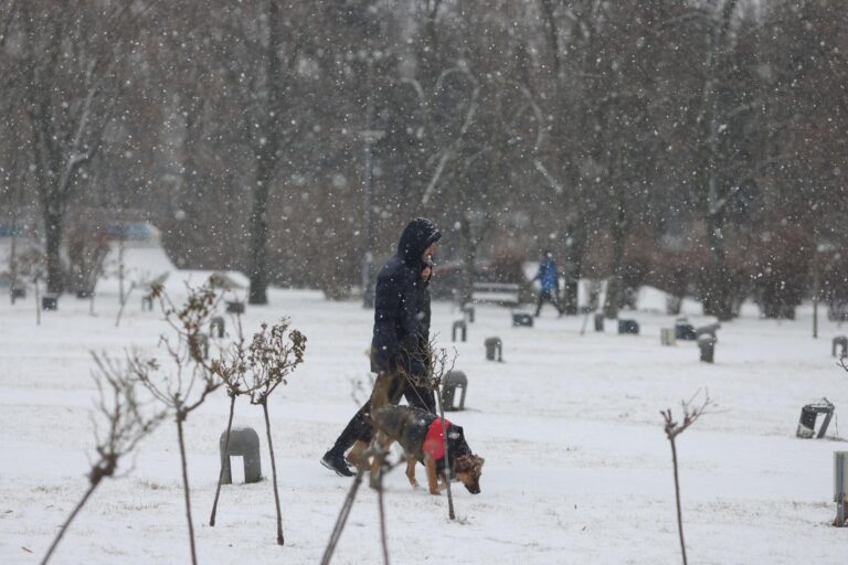 Ninge sau nu ninge în București? Vremea se schimbă radical în februarie