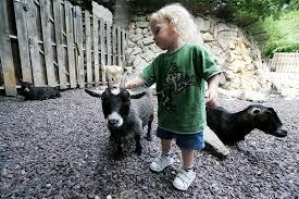Petting zoo în Parcul Tei: Proiectul propus de Primăria Sectorului 2
