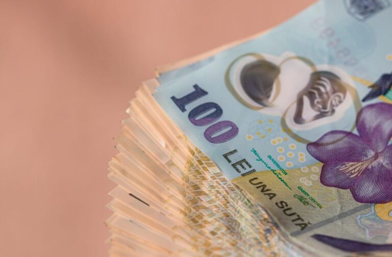 Președintele CJ Ilfov: Bugetele locale, în impas. Unele unități administrativ-teritoriale ar putea avea banii aprobați abia în mai