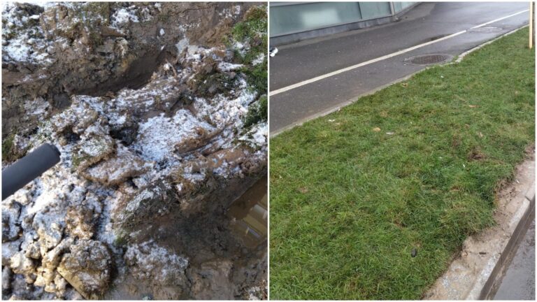 Spațiul verde de pe Șoseaua Pantelimon, afectat de utilajele de deszăpezire