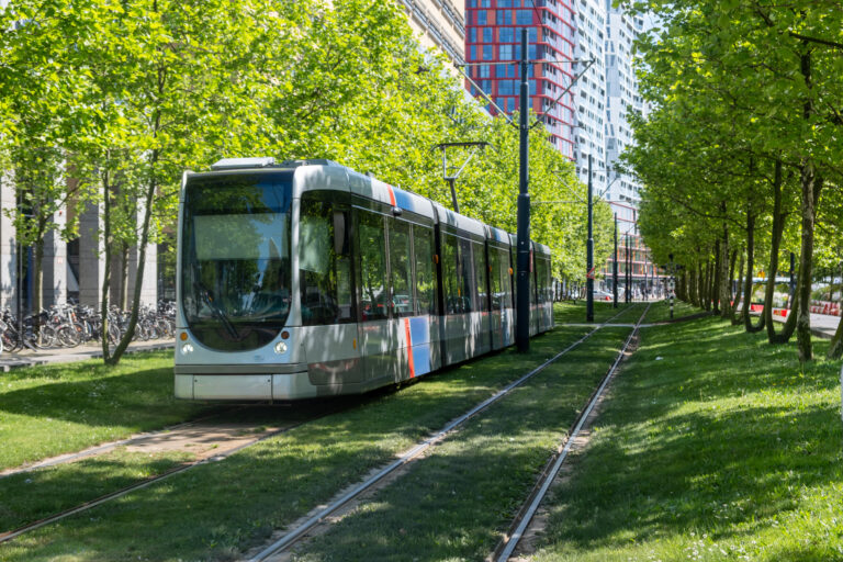 Linia 32, în reparații după ce gazonul a afectat structura șinei