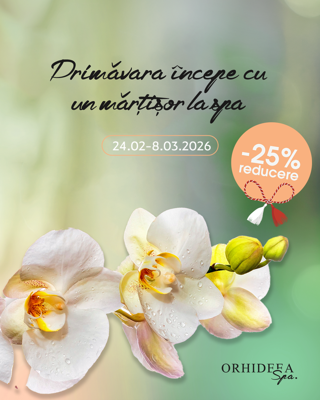 Orhideea Spa — Carduri de Primăvară
