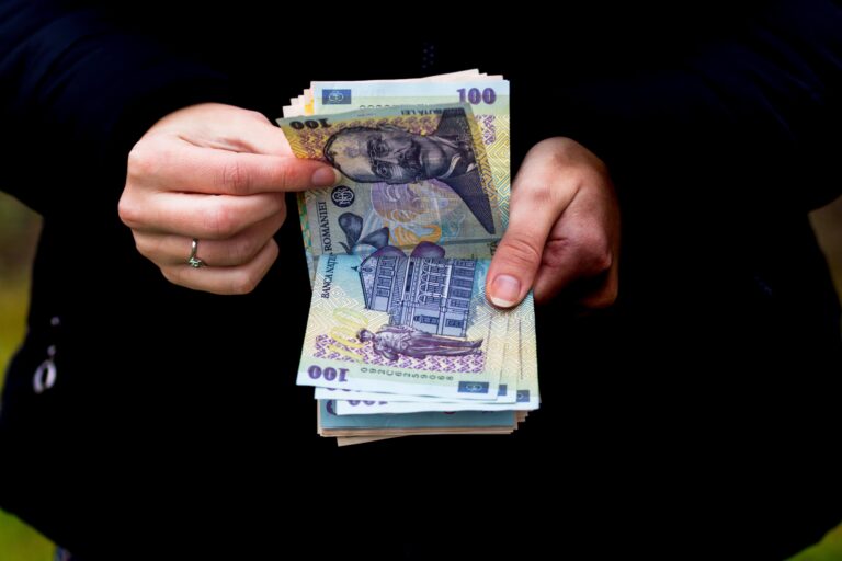 Alocațiile, indemnizațiile și stimulentul de inserție vor fi virate mai devreme în februarie