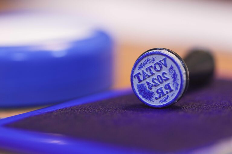 Autoritatea Electorală Permanentă va intensifica verificările persoanelor de peste 90 de ani înscrise pe listele de votare