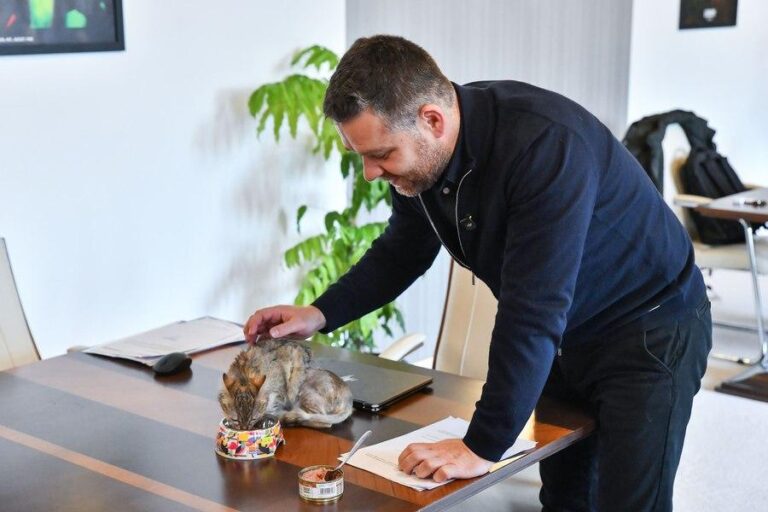 Ciprian Ciucu a adoptat o pisică rănită, care va locui în biroul său de la Primăria Capitalei