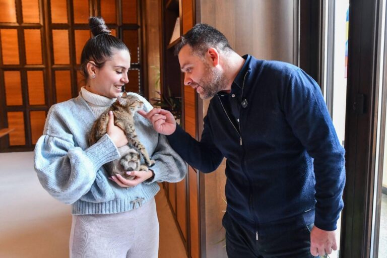 Ciprian Ciucu își împărtășește biroul de la Primăria Capitalei cu o pisică adoptată recent